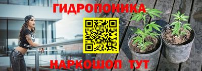 трава Малгобек