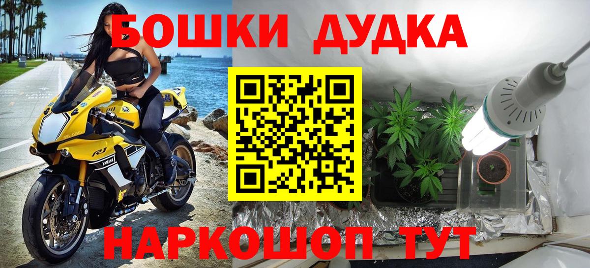 Марихуана сатива Заволжье